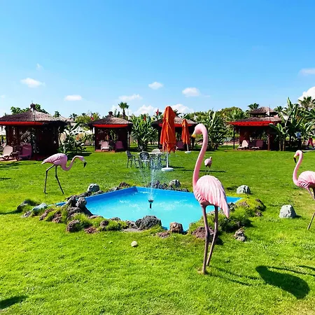 Vonresort Golden Coast & Aqua Semesteranläggning (resort) 5*